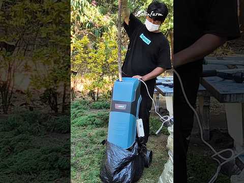 “กิ่งไม้เต็มสวนไม่ใช่ปัญหา No More Messy Branches in My Garden #เครื่องบดกิ่งไม้  #จัดการกิ่งไม้