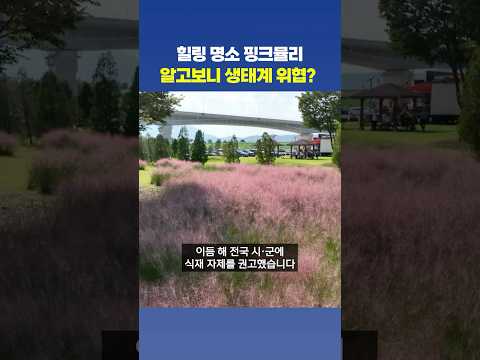 인생 샷 <strong>명소에서</strong> 토종 생태계 교란으로.. 💦
