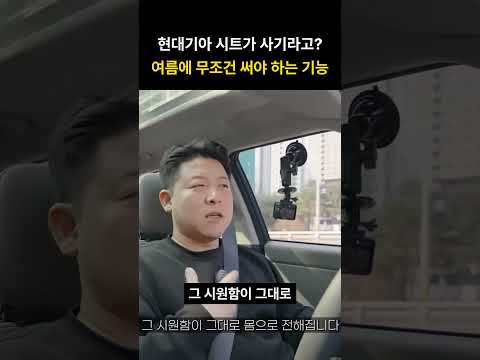 현대, 기아 시트가 사기라고? 여름에 무조건 써야 하는 기능