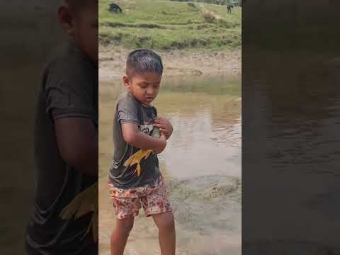 Amazing Boy Catching Fish By Hand #fishing