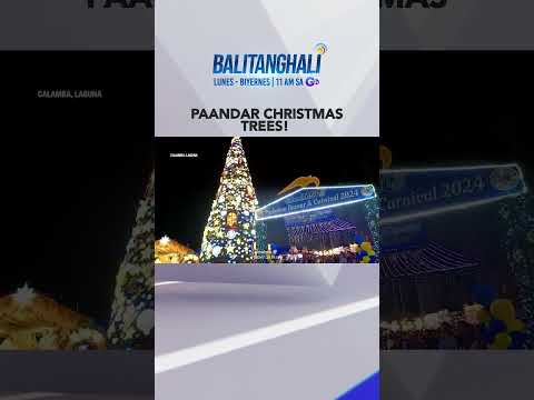 Paandar Christmas trees sa Laguna at Batangas! #shorts l Balitanghali