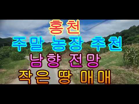 <strong>홍천</strong> 주말 농장 추천 남향 전망 작은 땅 매매 413제곱 125평 2500만