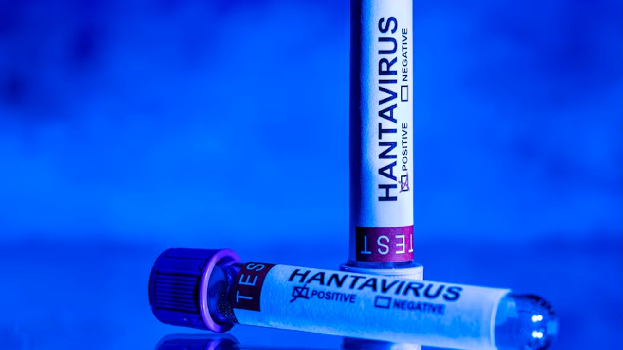 Tout savoir sur l'Hantavirus : Mortalité, incubation et mesures de confinement