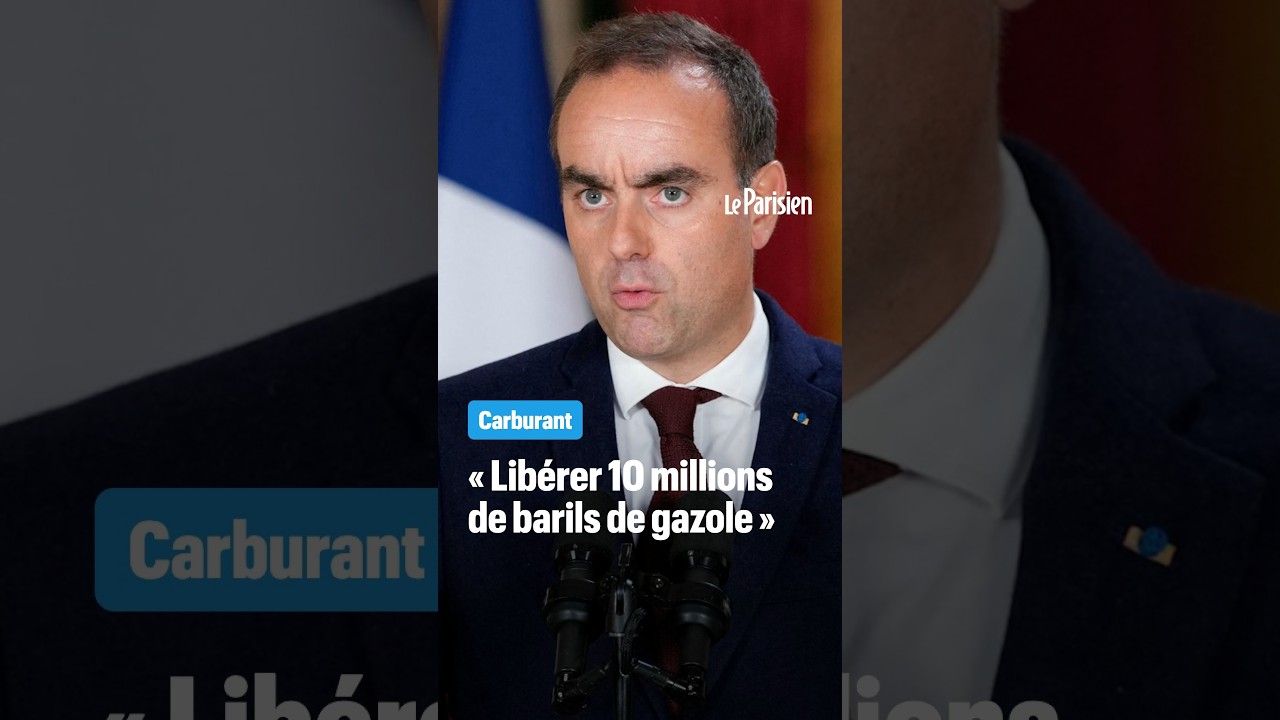 Lecornu vise une baisse de 12 à 18 centimes par litre de gazole