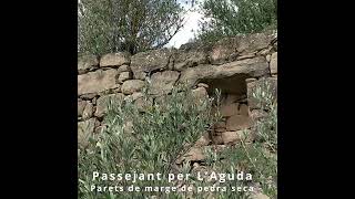 Passejant per l'Aguda