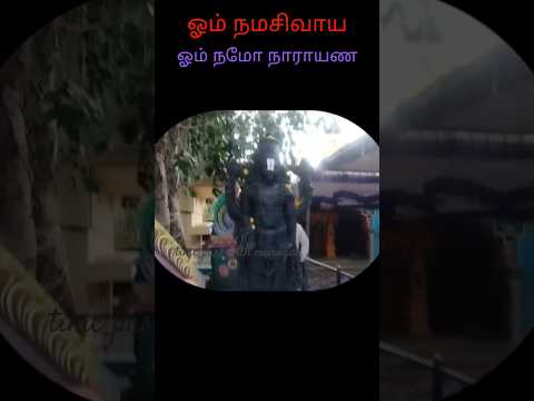 🚩🌿🔱ஓம் நமசிவாய 🌺🌳🙏#shortsfeed#omnamahshivaya#trending#omnamonarayanaya#viralvideo#sivaya#narayan