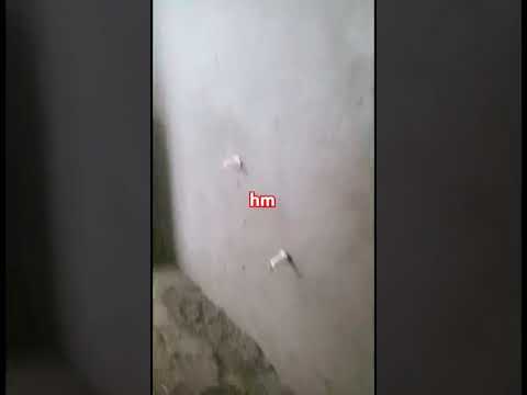 #hmbollywood                  #505