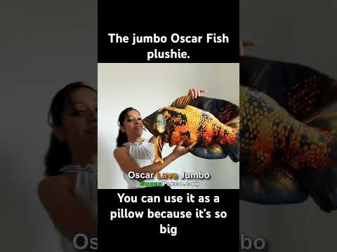 Jumbo Oscar plushie fish. #fish #aquarium #fishtan 