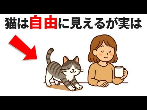 猫の知られざる秘密と雑学を徹底解説｜初心者から愛猫家まで必見 サムネイル