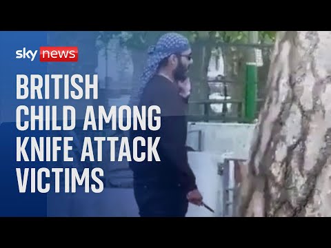 British child among four with 'life-threatening injuries' after knife attack in France