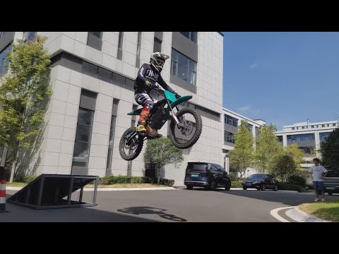 Special electric cross bike Denzel Skyleap