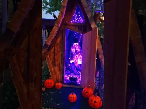 Grauenhafte Hexe #hexhex #serengetipark #halloween2025 #scary