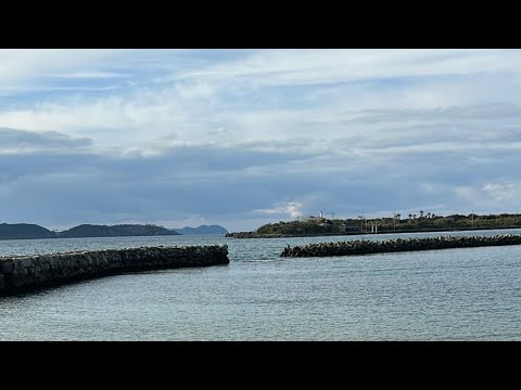 離島の海水浴場で釣りをしたらとんでもない魚が釣れた(妄想）