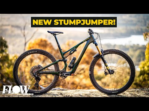 Specialized Stumpjumper 15 Review | A Hugely Adjustable Trail Bike With A Clever Custom Shock