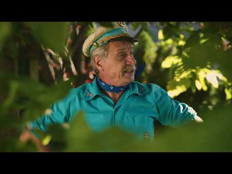 MED - RIBIČ PEPE, TRADICIONALNI SLOVENSKI ZAJTRK