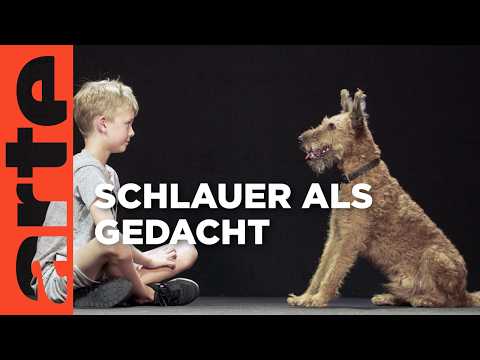 Hund und Mensch - Das Geheimnis einer Freundschaft | Doku HD Reupload | ARTE