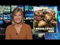 Brussel sprouts becoming less bitter and easier to grow  - 02:08 min - News - Video