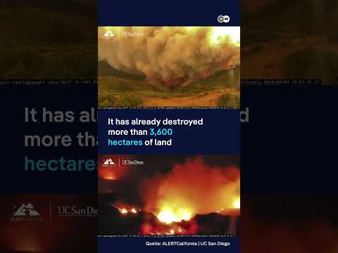 California wildfires turn skies orange as thousands forced to flee their homes | DW News