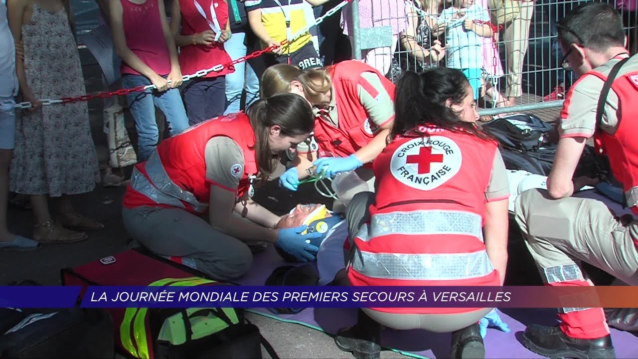 Yvelines | La journée mondiale des premiers secours à Versailles