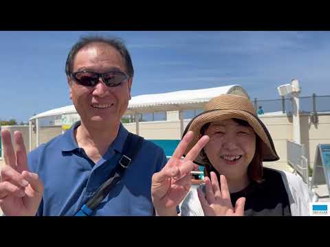 猫の動画サムネイル - 50周年おめでとうを集めてみました！！