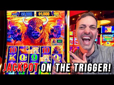 JACKPOT on the Trigger! ⫸ PACKED w/ Bonuses!