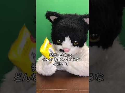 むぎ(猫)「沖縄こんちくわシリーズvol.7ゑびたま」