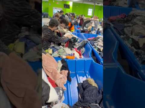 Goodwill Bins Score! Thrifting Reselling EBay Depop Poshmark Clothing Reseller Thrift Vintage Find