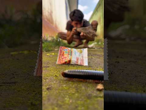 Don’t blink, because when this candy melts, the centipede will appear instantly#shorts#millipede