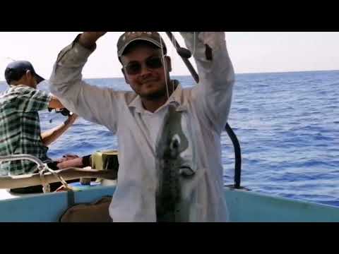 هجوم الأسماك السامة احظر هذة الأسماك