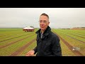 AI meets agriculture with new farm machines to kill weeds and harvest crops - 03:06 min - News - Video