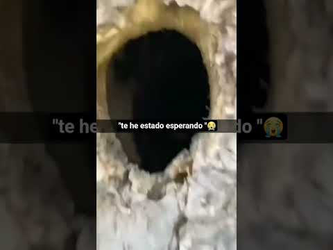 BRO REALMENTE TIENE UNA MISION PARA MI😭 #memes #humor #funny