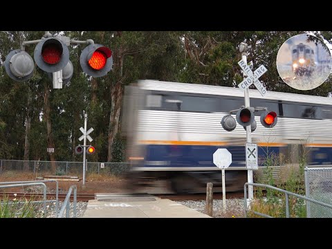 CDTX 8314 Train 530 North| Tennyson High School/Schafer Rd. Pedestrian Railroad Crossing, Hayward CA
