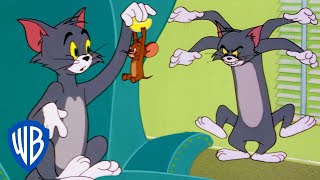 Tom a Jerry - Zábava doma