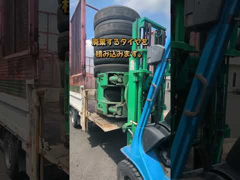 ゴールデンレトリバーのティトと過ごす毎日｜大型犬の魅力と癒やしのひととき サムネイル