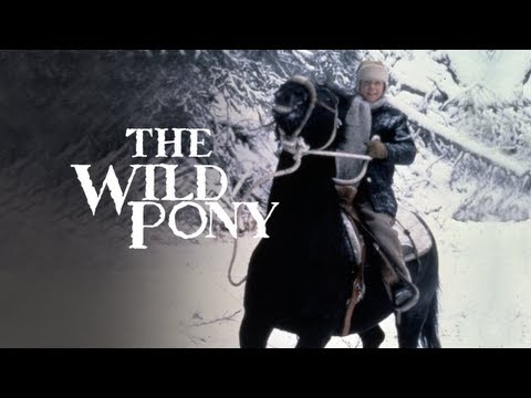 The Wild Pony'