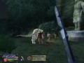demsoti