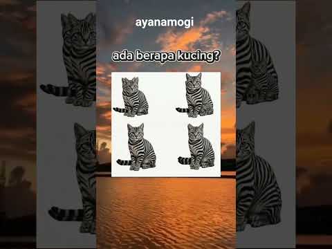 ada berapa kucing? #memes #funny #shorts #fypシ゚viral