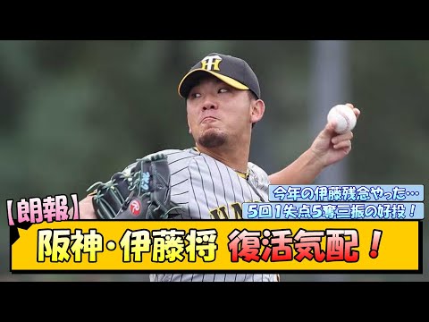 【朗報】阪神・伊藤将司 復活気配！【なんJ/2ch/5ch/ネット 反応 まとめ/阪神タイガース/岡田監督】