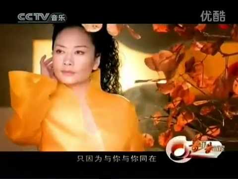 掌声与喝彩 彭丽媛