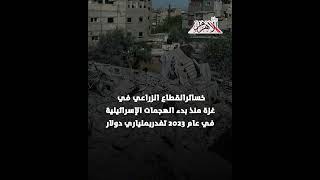   -الفاو--تؤكد-انهيارالقطاع-الزراعي-في-غزة-بسبب-الحرب