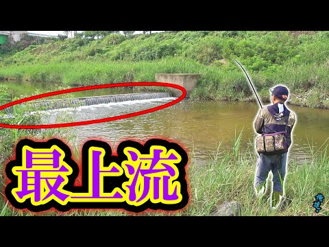 最高の水が流れてくる最上流スポットにルアーを投げると…