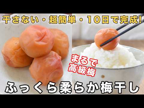 【超簡単・10日で完成】干さない梅干しの作り方☆梅を〇〇するだけで高級梅干しの味に☆追熟失敗から生まれたビックリな方法・邪道だけど美味しい 4毒抜きの食生活にも