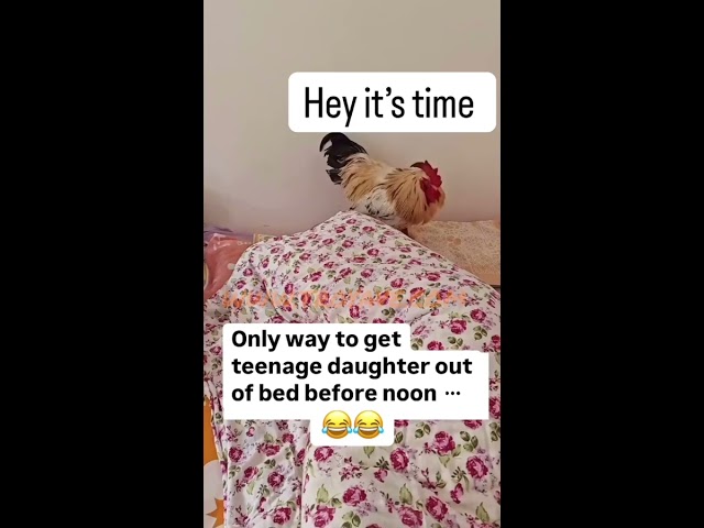 What an ALARM CLOCK 🤦🏿‍♂️ #viralvideo #funny #fail #fyp