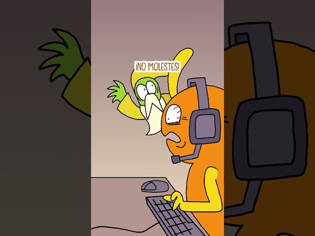 Boe Nunca Se Va A Dormir