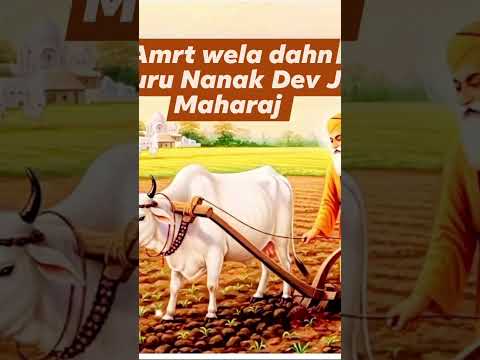 Grumman dab ji #wahegaru 🙏🙏🙏🙏🙏