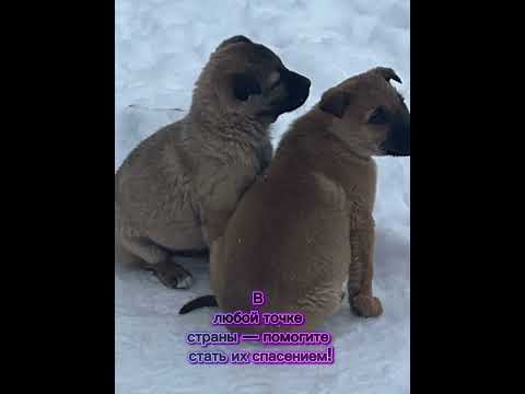 ‼️СРОЧНО‼️Все города‼️Задонск‼️Липецк‼️Воронеж‼️Москва