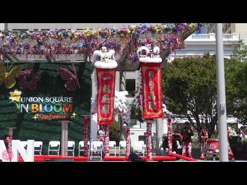 Leung's White Crane Kun Seng Keng Lion Dance on High Poles | 梁館白鶴關聖宮 高樁舞獅