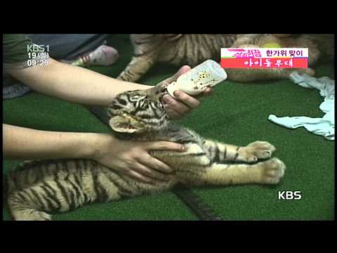 Funny and cute Super Junior Kangin, Shindong, Eunhyuk, Sungmin back in 2006