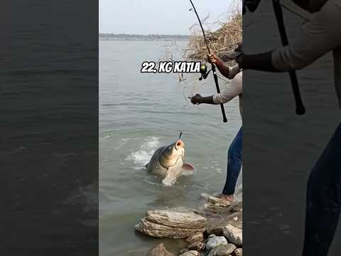 hamare yahan talab mein 😀😀😀 bahut badi badi fish hai #fishingvideo aap sab dekhna chahte Hain aisi 😀