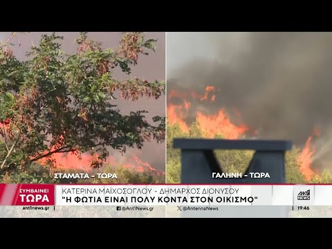 Φωτιά στη Σταμάτα: Η δήμαρχος Διονύσου στον ΑΝΤ1